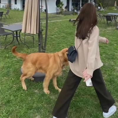 我的意外室友