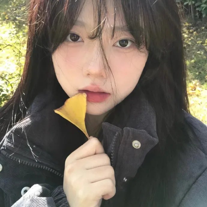青春恋歌